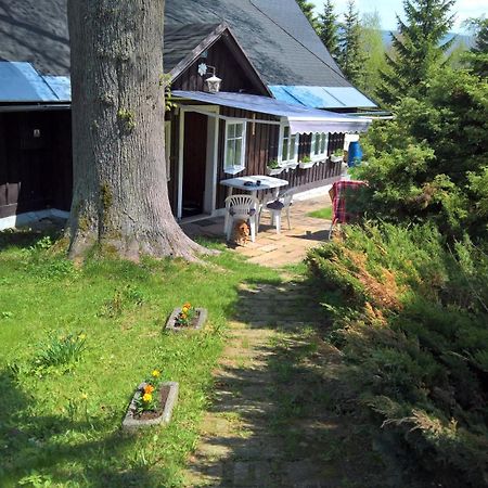 Chata V Srdci Krkonos Villa Kořenov Екстериор снимка
